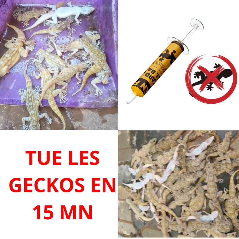 Appât-Gel Anti-Geckos (SNGAL)