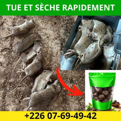 𝐀𝐩𝐩𝐚̂𝐭 𝐌𝐨𝐫𝐭𝐞𝐥 𝐚𝐧𝐭𝐢 𝐫𝐨𝐧𝐠𝐞𝐮𝐫𝐬 (𝐒𝐞̀𝐜𝐡𝐞 𝐥𝐞𝐬 𝐜𝐚𝐝𝐚𝐯𝐫𝐞𝐬 )